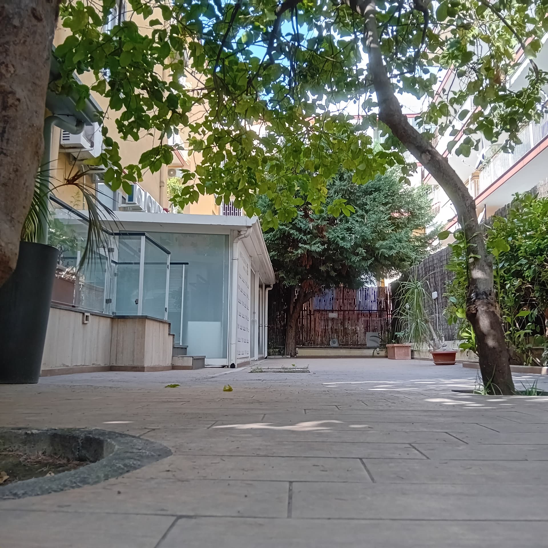 Cortile alberato e accesso agli ambienti di Health Park a Napoli Chiaia